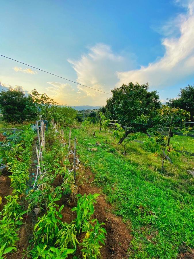 Locanda Tipica Sa Corte Олиена Екстериор снимка