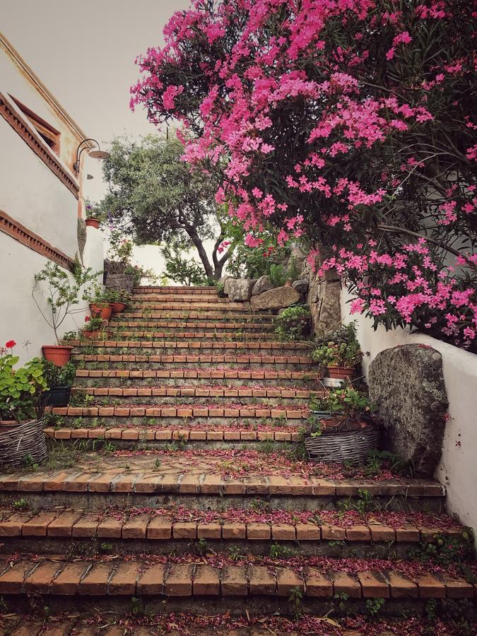 Locanda Tipica Sa Corte Олиена Екстериор снимка
